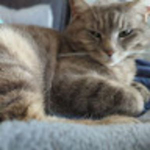 Meet your Posher, Kelli